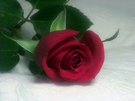 أندر و أجمل الزهور و الورود فى العالم Egypt-rose