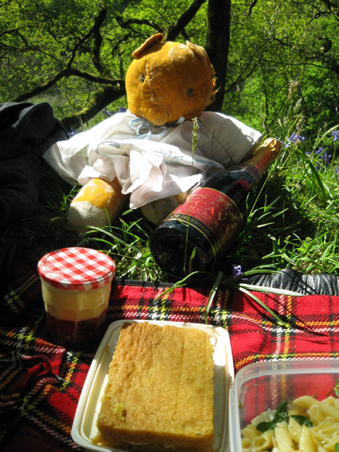 [02+05+07+010+Bear+picnic+e.jpg]