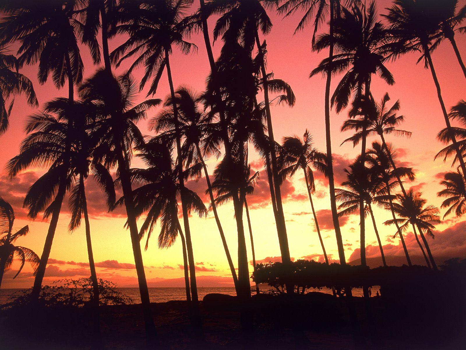 [Hawaiian+Sunset,+Hawaii.jpg]