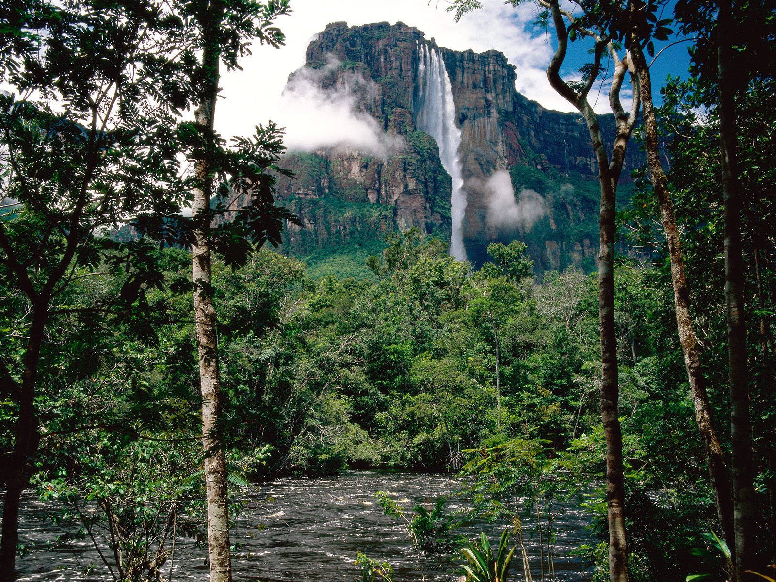 [Angel+Falls,+Orinoco+Basin,+Canaima+National+Park,+Venezuela.jpg]