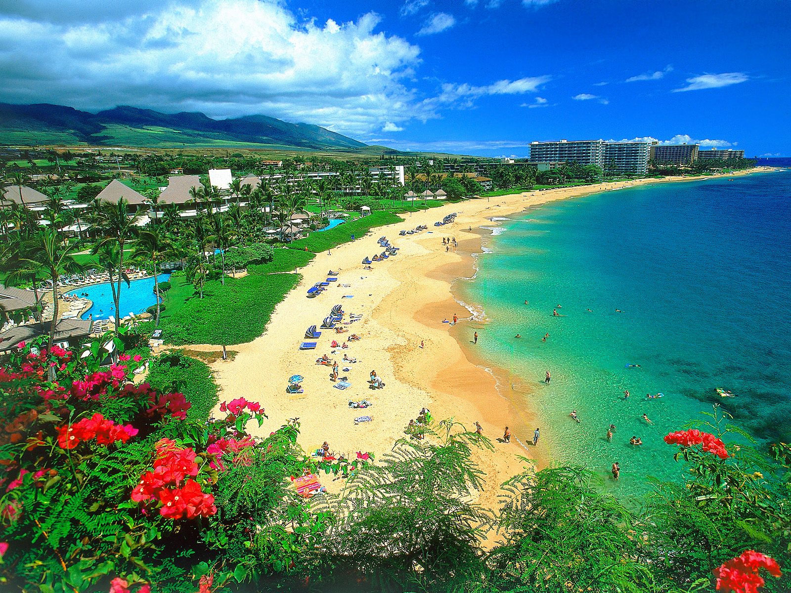 [Kaanapali+Beach,+Maui,+Hawaii.jpg]