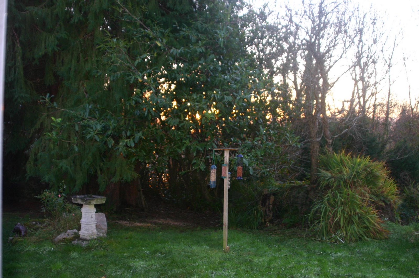 [Doorus+back+garden+with+the+sun+rising,+10.12.jpg]