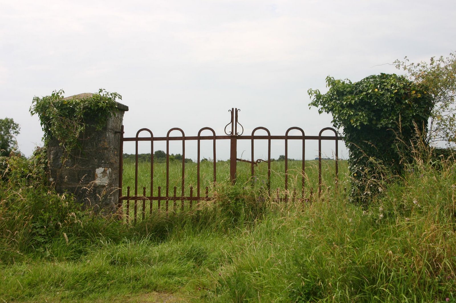[Gate+near+O'Callaghan's+Mill+and+weeds.jpg]