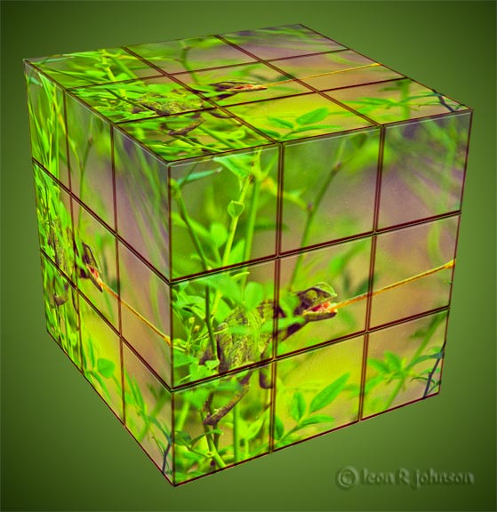 [Rubik's-Chameleon.jpg]