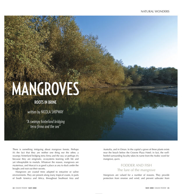 [2-mangrove+44-45++copy.jpg]