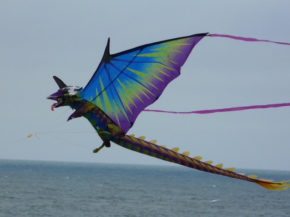 [dragon+kite+above+the+pacificblog.jpg]