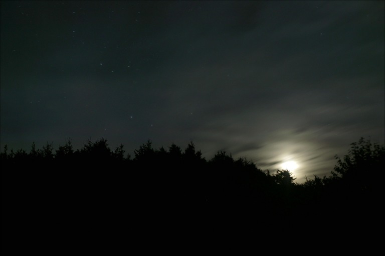 [night-sky-in-cape-breton.jpg]