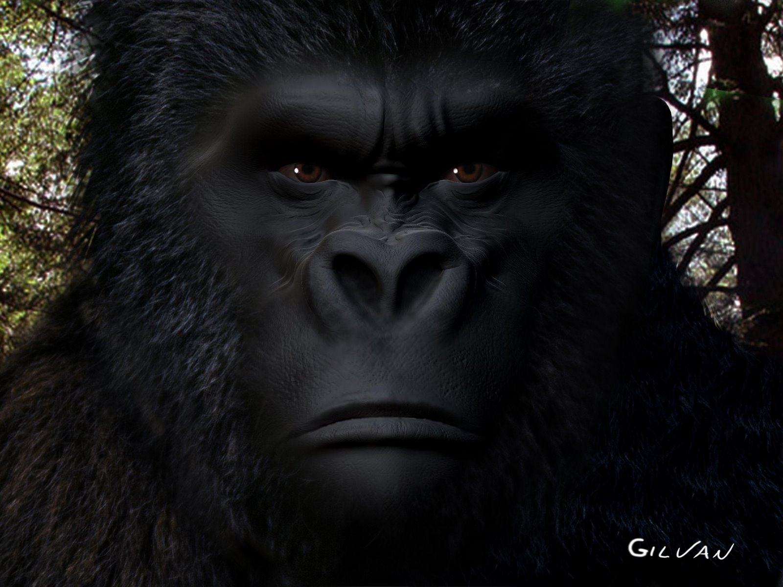 [Gorilla+Zbrush.jpg]