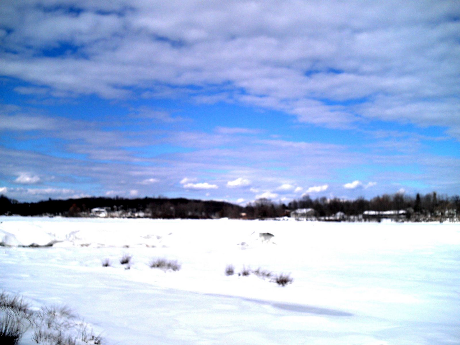 [snowy+river+002.jpg]
