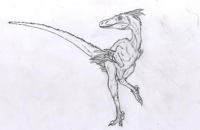 [velociraptor+n-c.jpg]