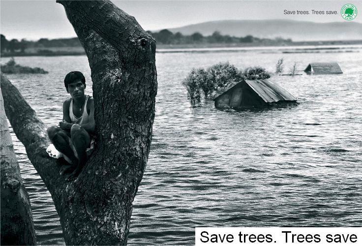 [SaveTrees.jpg]