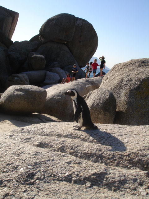 [penguin&kids.JPG]