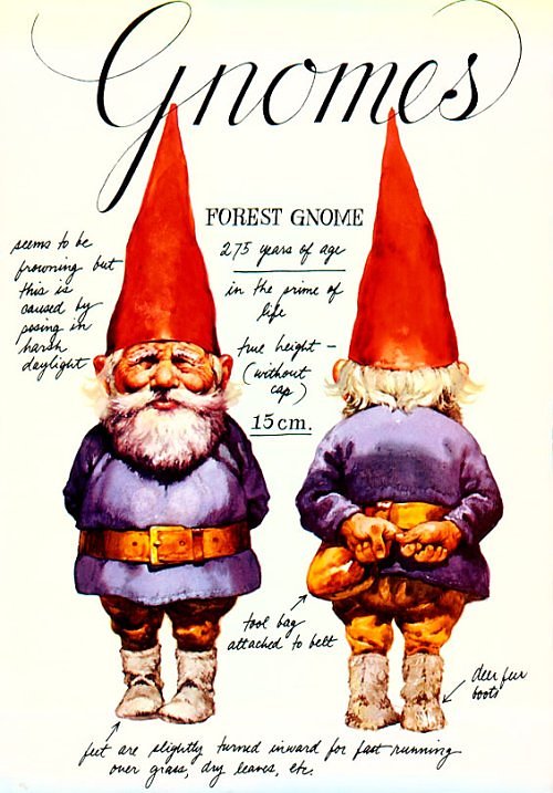 [gnomebookcover.jpg]
