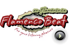 [flamencoBeat.jpg]