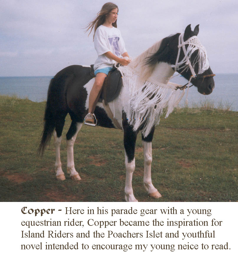 [Copper+and+rider.jpg]