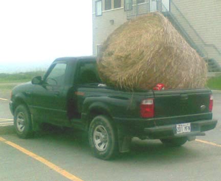 [truck+and+hay.jpg]