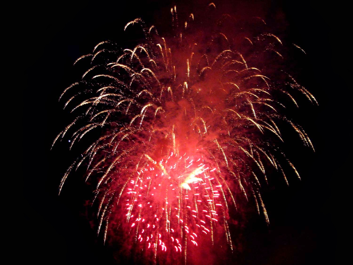 [July+4th+red+firework.jpg]