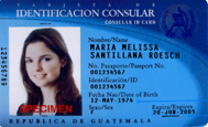 [Consular+ID+cards.jpg]