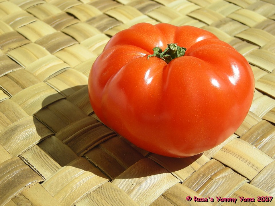[Tomatoes+5.jpg]