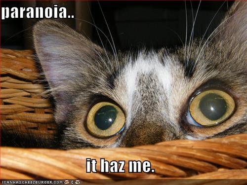 [funny-pictures-paranoid-cat.jpg]