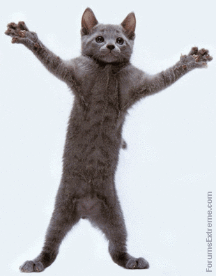 [Funny_Pictures_Animated_Dancing_Cat.gif]