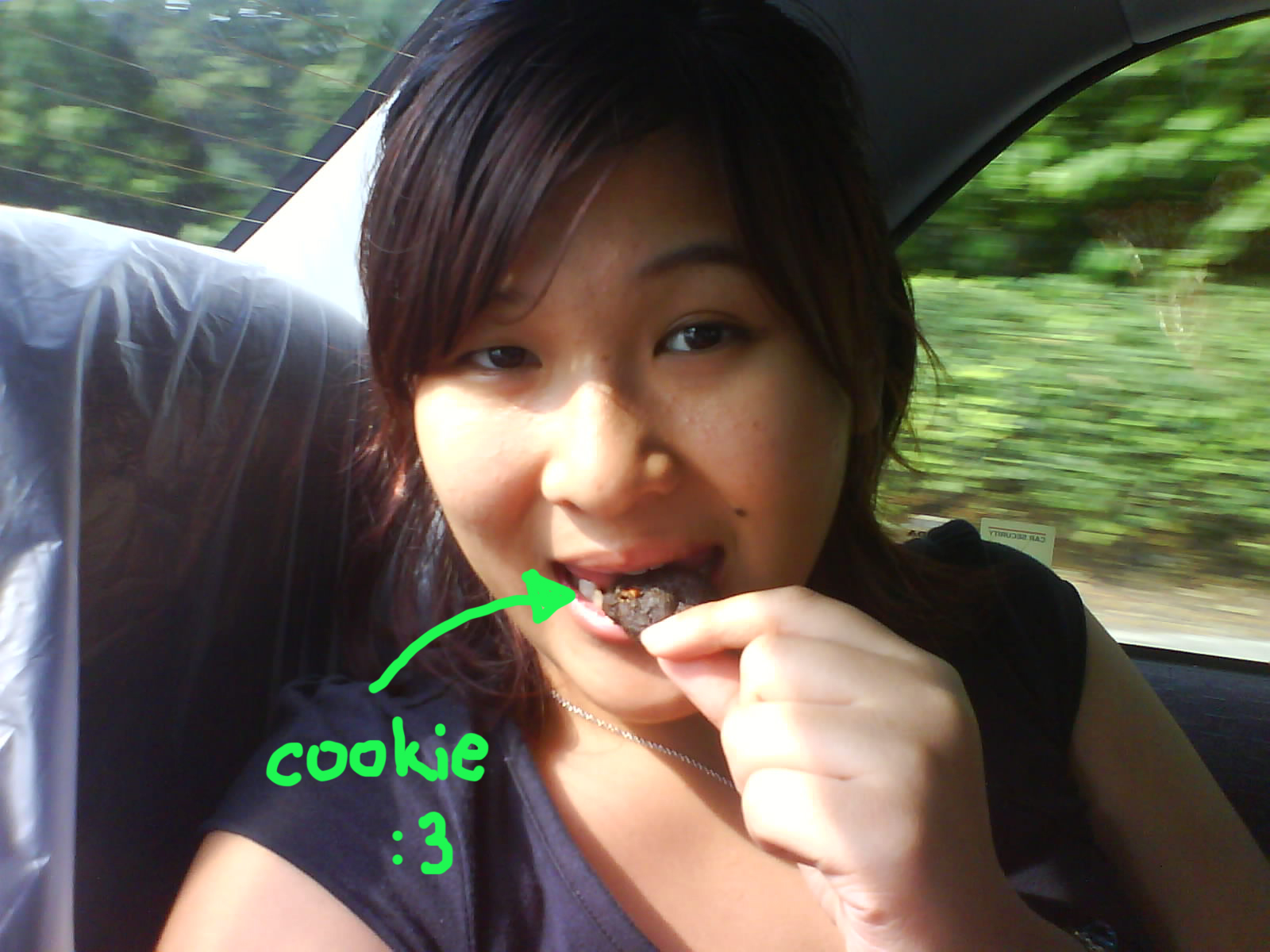 [cookie.jpg]