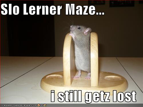 [funny-pictures-slow-learner-maze-mouse.jpg]