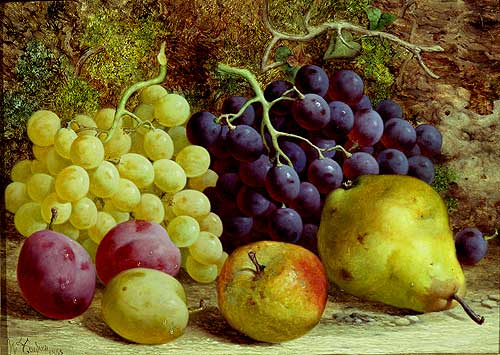 [Fruit-grapes.jpg]