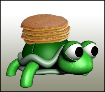 [pancake_turtle.jpeg]