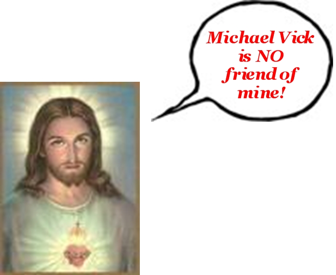 [Michael+Vick+is+no+friend+of+mine+CU.jpg]