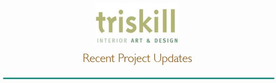 Triskill - Monthly Update