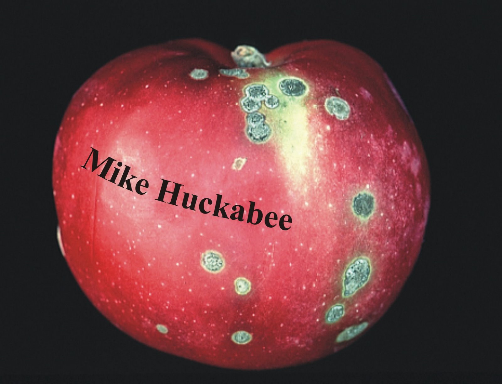 [mike.huckabee.jpg]