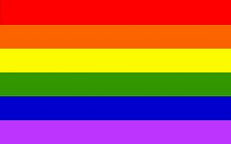 [gayPrideFlag.jpg]
