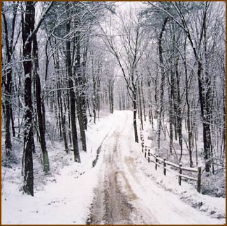[winter_road[1].jpg]
