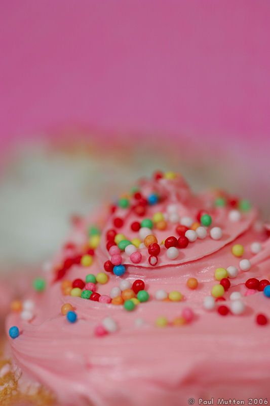 [Pink_Cupcake_With_Sprinkles_HA8V7533.jpg]