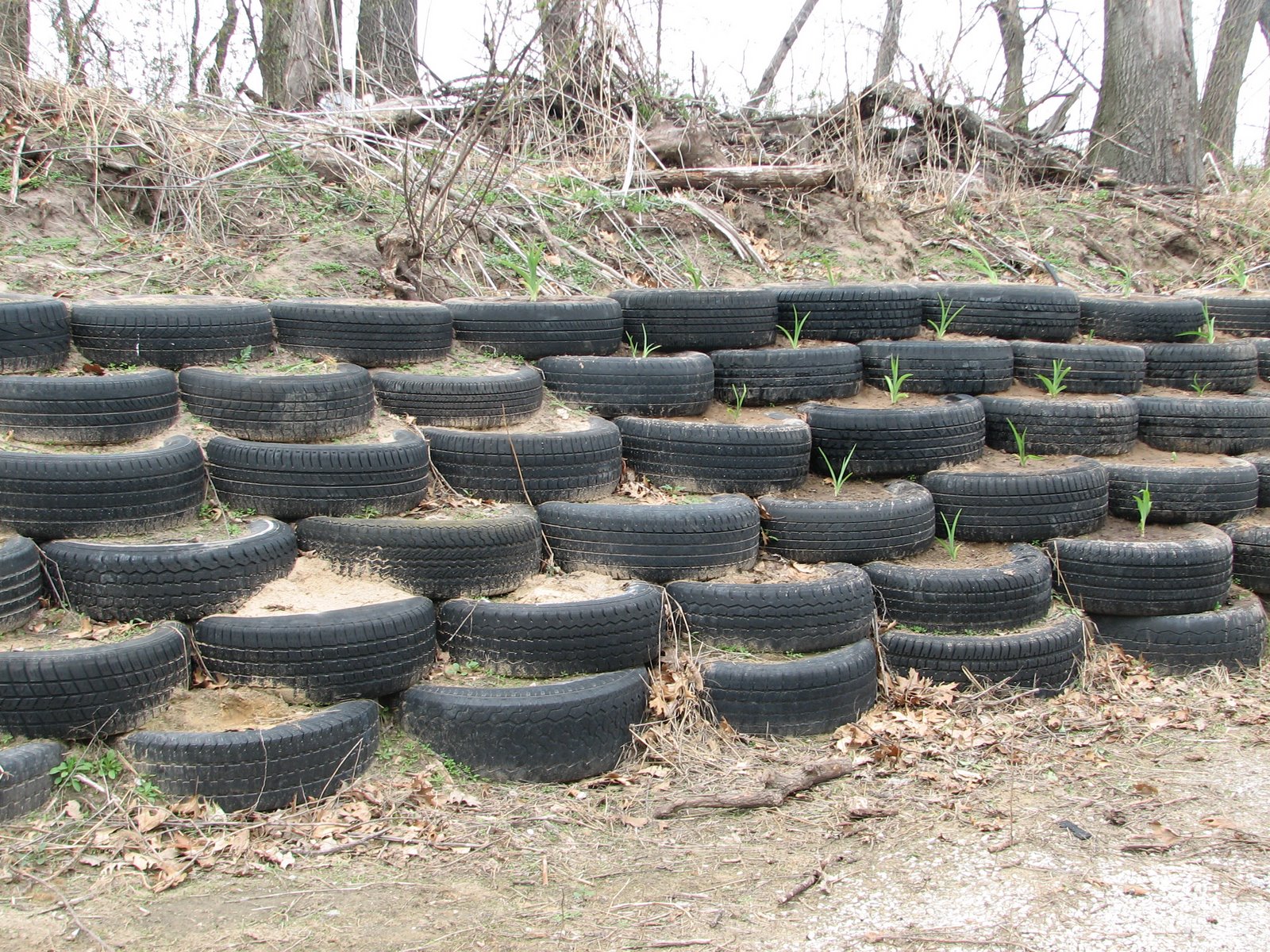 [retaining+wall+with+day+lilies.JPG]