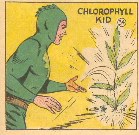 [It's+Chlorophyl+Kid.jpg]