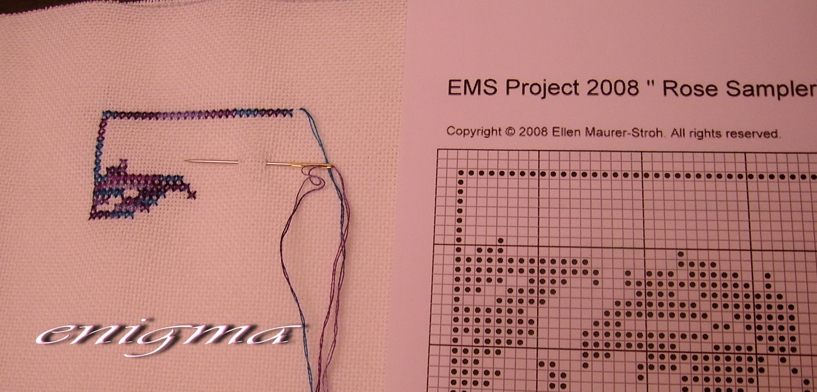 [EMS1.jpg]