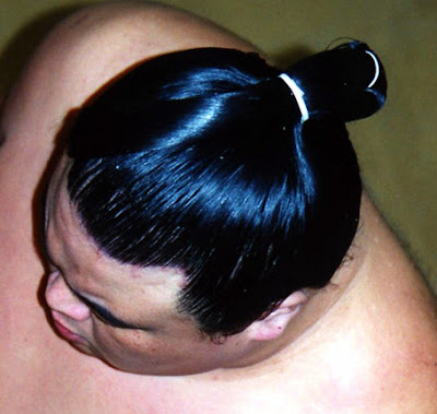 On this sport, wrestlers are expected to wear sumo hairstyle with 