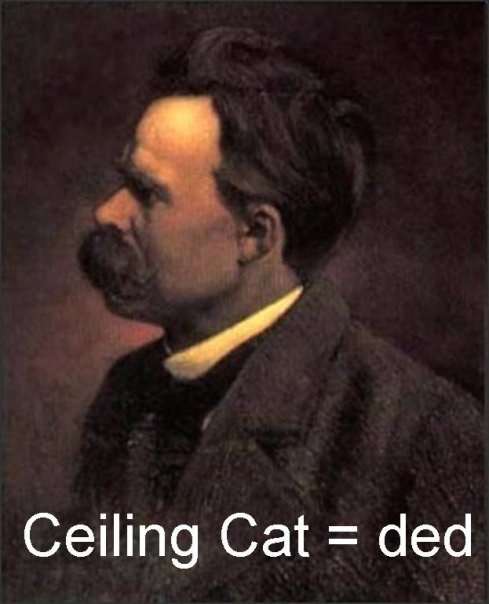 [cieling+cat=ded.jpg]