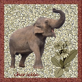 [c-elephant+brun-cherielle.jpg]