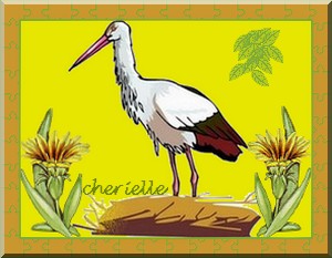 [c-ibis-cherielle.jpg]