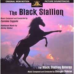 [the-black-stallion.jpg]