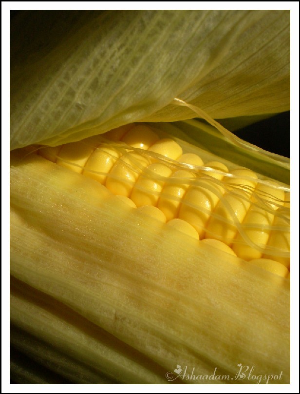 [sweety+corn.jpg]