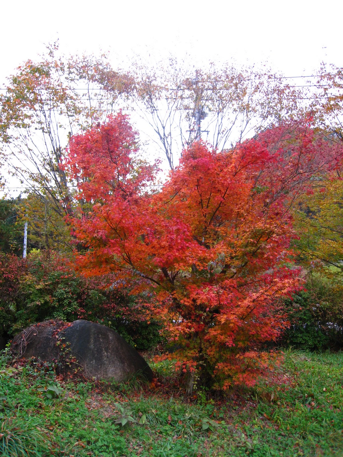 [hokuto+in+autumn+012.JPG]