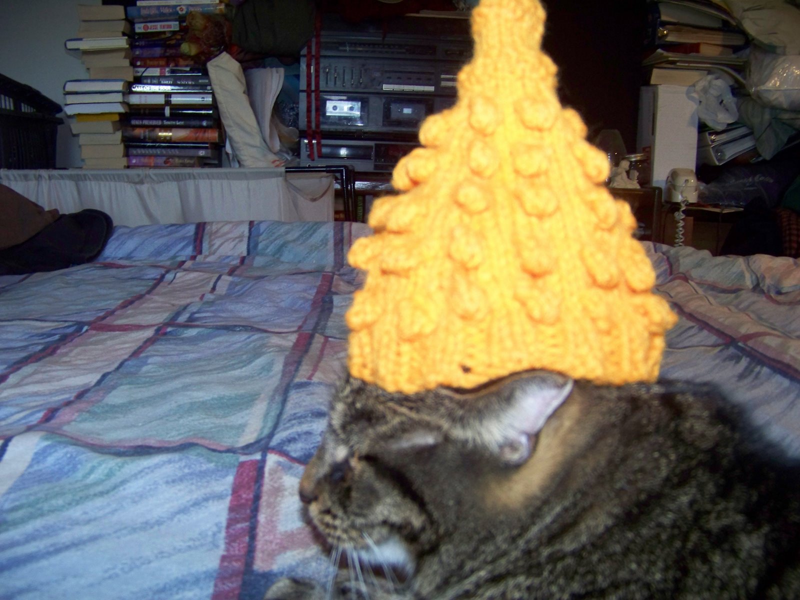 [cat+hat+004.jpg]