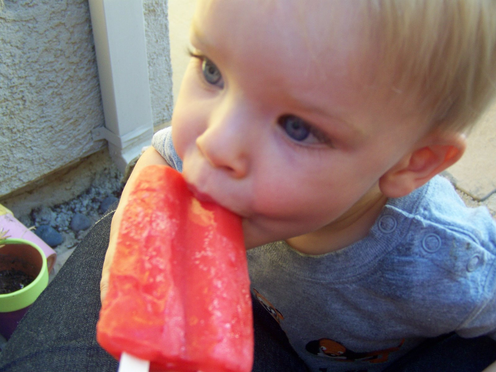 [first+popsicle.JPG]