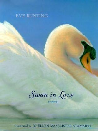 [swan+in+love.jpg]