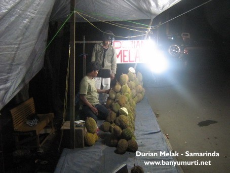 [Durian+Melak.jpg]