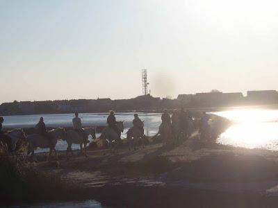 Ballade à cheval en Camargue aux Saintes Maries de la mer au coucher du soleil